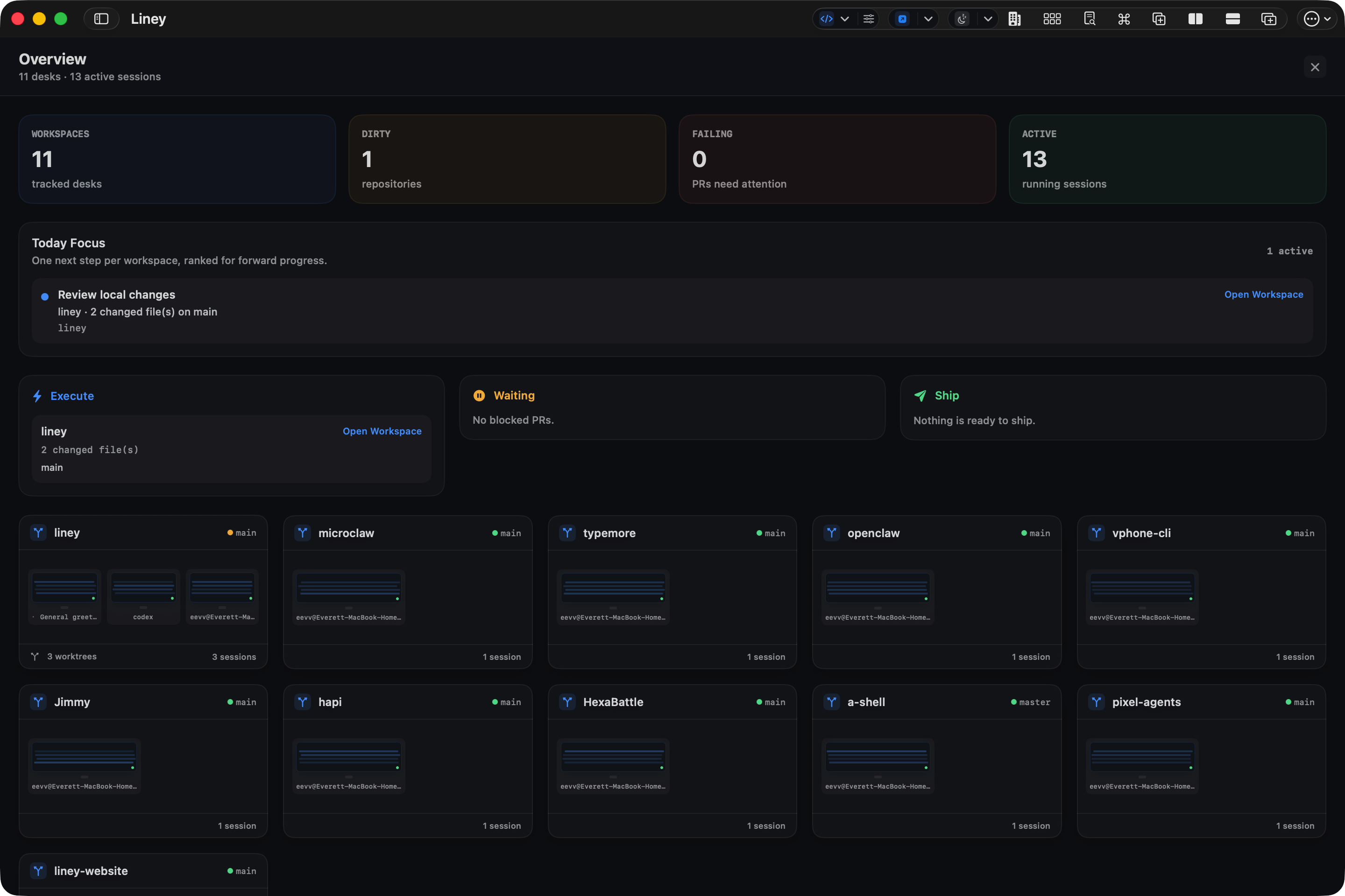 Liney repository and workspace view